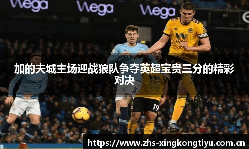 加的夫城主场迎战狼队争夺英超宝贵三分的精彩对决