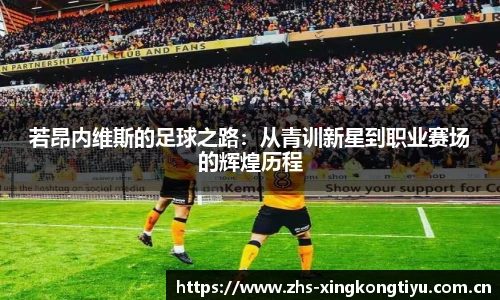 若昂内维斯的足球之路：从青训新星到职业赛场的辉煌历程
